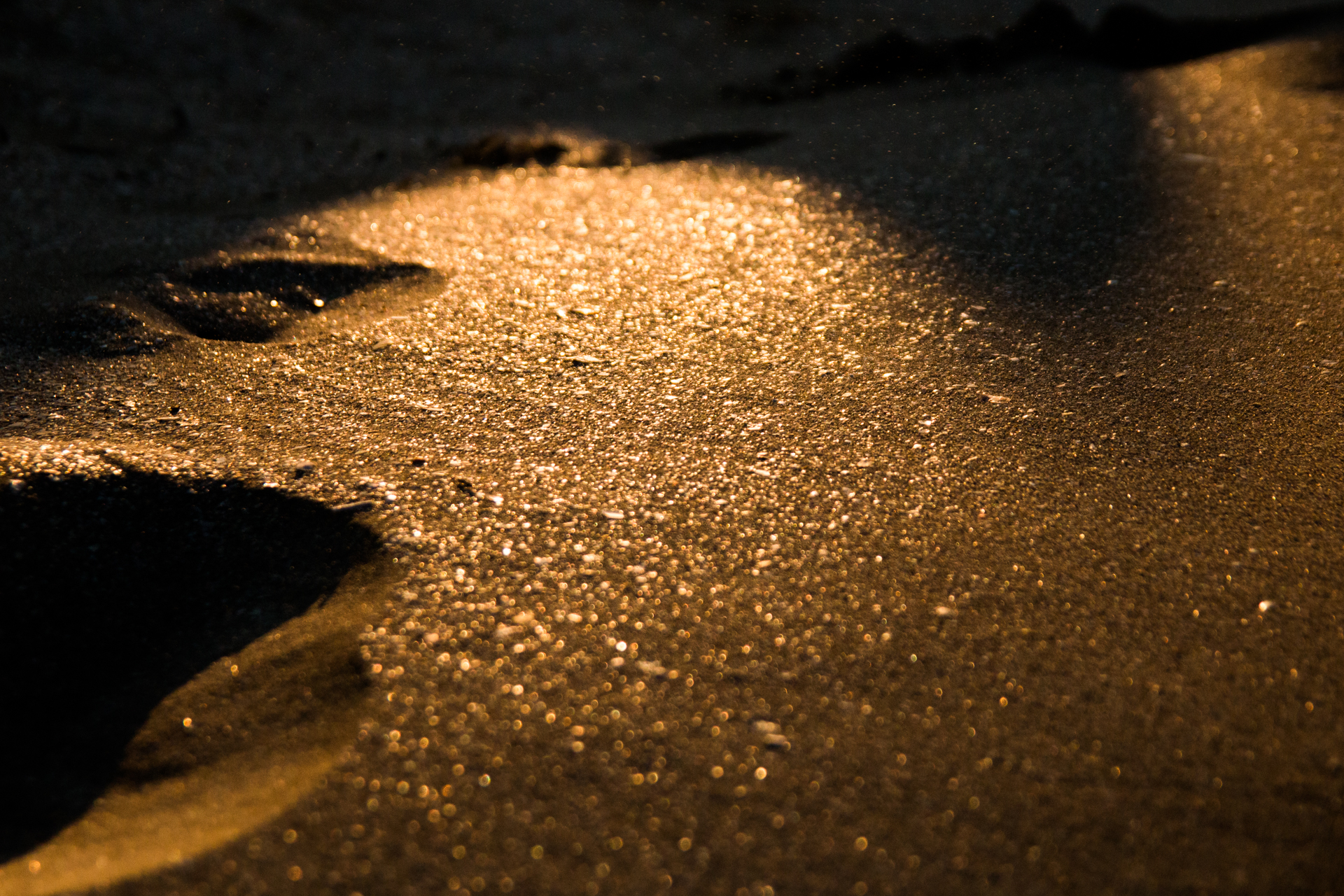 L' Oeil Noir Photographie